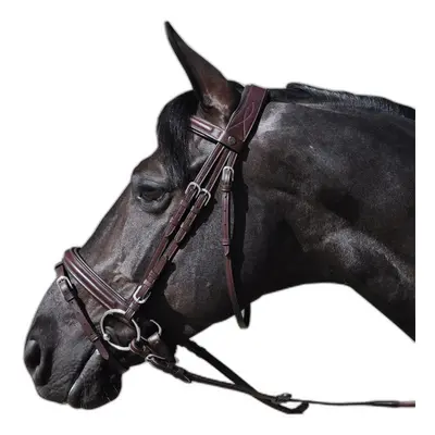 Denver combination riding bridles Lexington